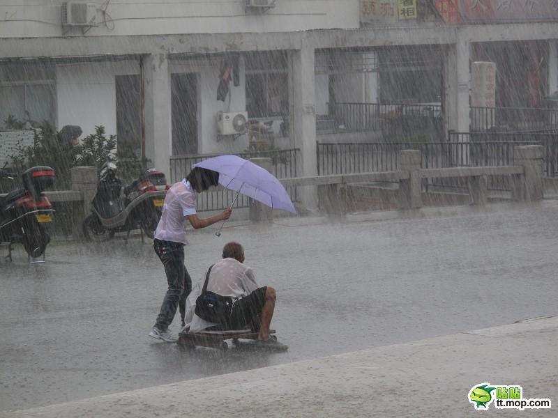 蘇州最美女孩暴雨中為殘疾乞丐撐傘