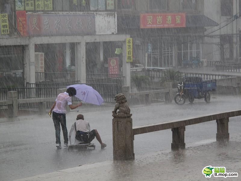蘇州最美女孩暴雨中為殘疾乞丐撐傘