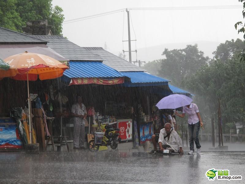蘇州最美女孩暴雨中為殘疾乞丐撐傘