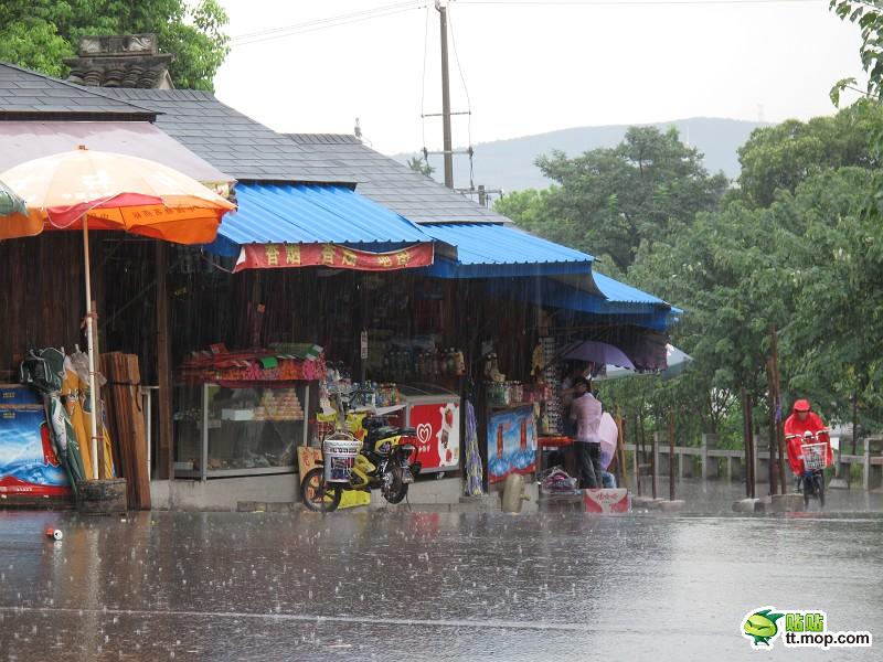 蘇州最美女孩暴雨中為殘疾乞丐撐傘