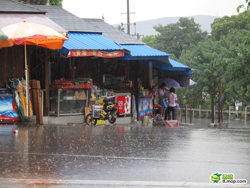 蘇州最美女孩暴雨中為殘疾乞丐撐傘