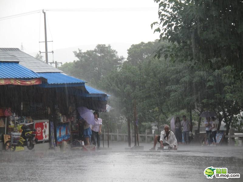 蘇州最美女孩暴雨中為殘疾乞丐撐傘